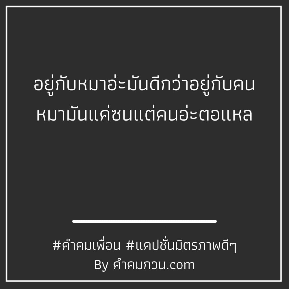 218 คำคมเพื่อน คําคมเพื่อนฮาๆ 